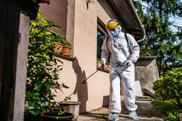 Best Emergency Pest Control  in Mikes, TX
