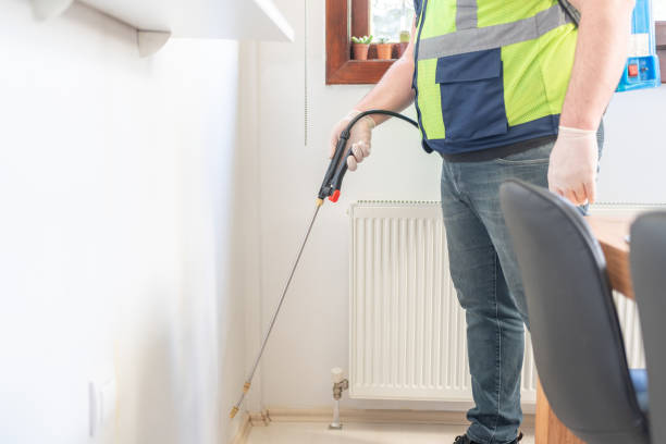 Best Termite Control Services  in Mikes, TX