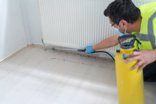 Best Local Pest Control Services  in Mikes, TX